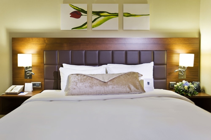 Imagen de la habitación del Hotel Hilton Garden Inn Kutahya. Foto 7