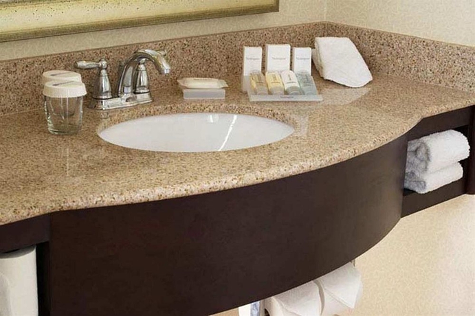 Imagen de la habitación del Hotel Hilton Garden Inn Lafayette/cajundome. Foto 7