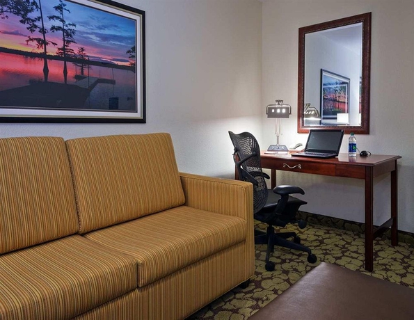 Imagen de los interiores del Hotel Hilton Garden Inn Lafayette/cajundome. Foto 14