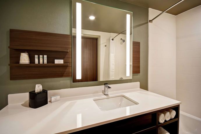 Imagen de la habitación del Hotel Hilton Garden Inn Lansing West. Foto 4