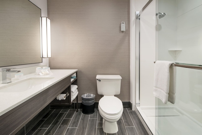 Imagen de la habitación del Hotel Hilton Garden Inn Las Colinas. Foto 10