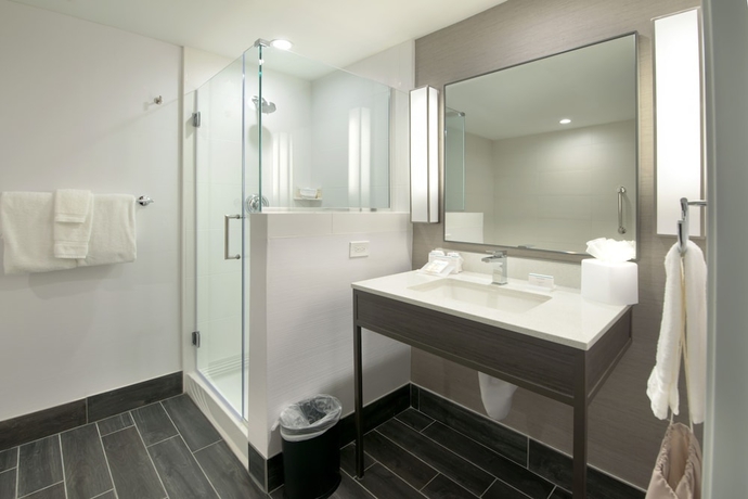 Imagen de la habitación del Hotel Hilton Garden Inn Las Colinas. Foto 11