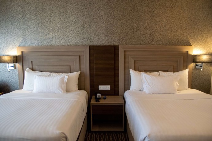 Imagen de la habitación del Hotel Hilton Garden Inn Leon. Foto 2
