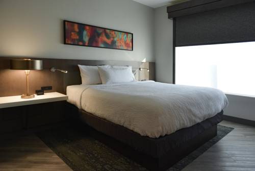Imagen de la habitación del Hotel Hilton Garden Inn Louisville Mall Of St. Matthews. Foto 2