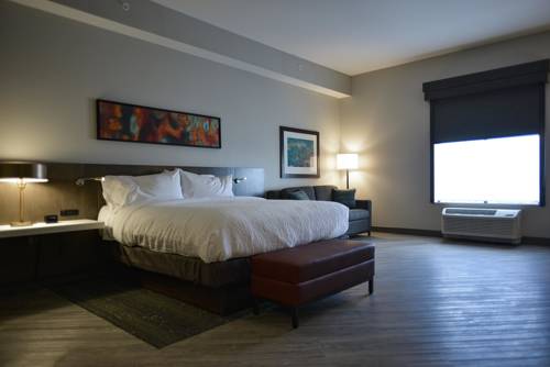 Imagen de la habitación del Hotel Hilton Garden Inn Louisville Mall Of St. Matthews. Foto 4