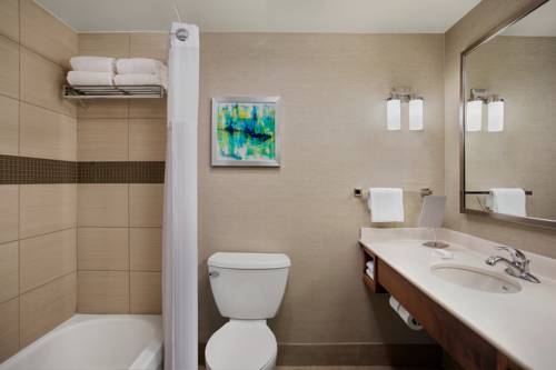 Imagen de la habitación del Hotel Hilton Garden Inn Lubbock. Foto 4