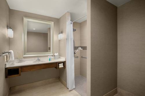 Imagen de la habitación del Hotel Hilton Garden Inn Lubbock. Foto 5
