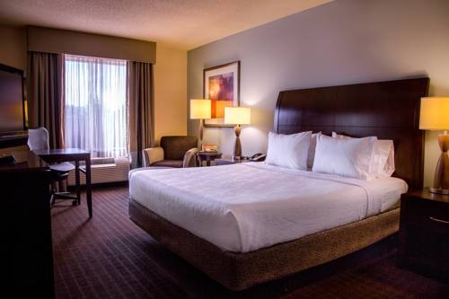 Imagen de la habitación del Hotel Hilton Garden Inn Lynchburg. Foto 4