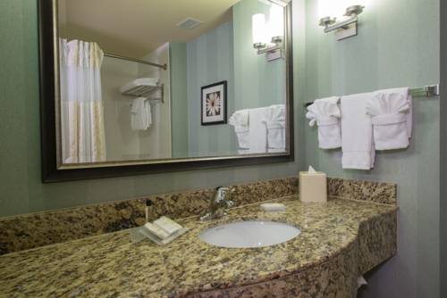 Imagen general del Hotel Hilton Garden Inn Lynchburg. Foto 1