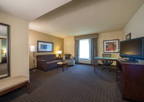 Imagen de la habitación del Hotel Hilton Garden Inn Lynchburg. Foto 7