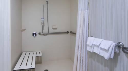 Imagen de la habitación del Hotel Hilton Garden Inn Macon/mercer University. Foto 5