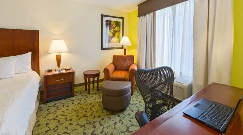 Imagen de la habitación del Hotel Hilton Garden Inn Macon/mercer University. Foto 8