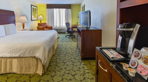 Imagen de la habitación del Hotel Hilton Garden Inn Macon/mercer University. Foto 10