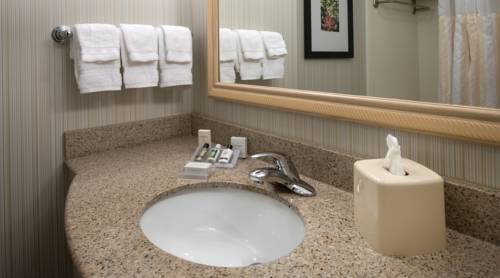 Imagen de la habitación del Hotel Hilton Garden Inn Macon/mercer University. Foto 13