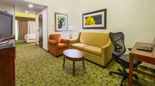 Imagen de la habitación del Hotel Hilton Garden Inn Macon/mercer University. Foto 14