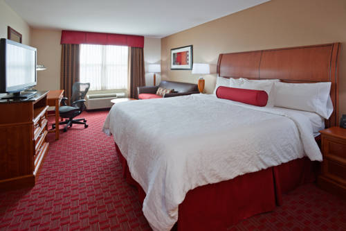 Imagen de la habitación del Hotel Hilton Garden Inn Madison West/middleton. Foto 5