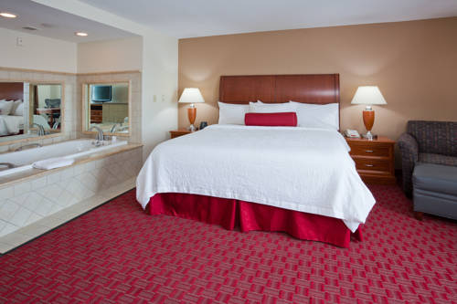 Imagen de la habitación del Hotel Hilton Garden Inn Madison West/middleton. Foto 6