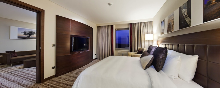 Imagen de la habitación del Hotel Hilton Garden Inn Mardin. Foto 12