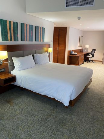 Imagen de la habitación del Hotel Hilton Garden Inn Mbabane. Foto 2