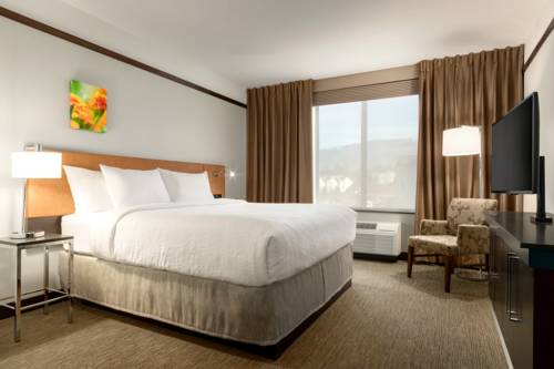 Imagen de la habitación del Hotel Hilton Garden Inn Medford, Or. Foto 1