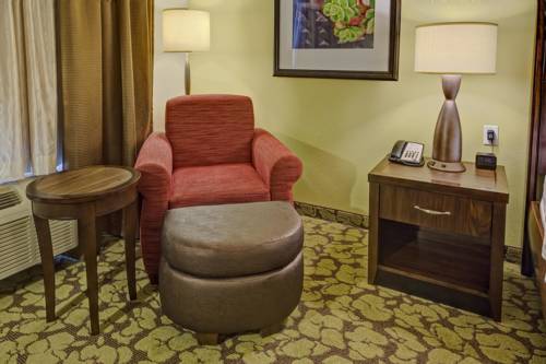 Imagen de la habitación del Hotel Hilton Garden Inn Memphis/wolfchase Galleria. Foto 2