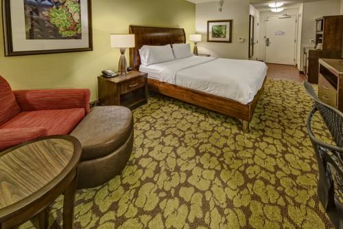 Imagen de la habitación del Hotel Hilton Garden Inn Memphis/wolfchase Galleria. Foto 3