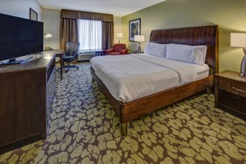 Imagen de la habitación del Hotel Hilton Garden Inn Memphis/wolfchase Galleria. Foto 4