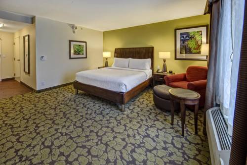 Imagen de la habitación del Hotel Hilton Garden Inn Memphis/wolfchase Galleria. Foto 5