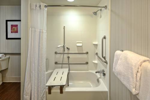 Imagen de la habitación del Hotel Hilton Garden Inn Memphis/wolfchase Galleria. Foto 6