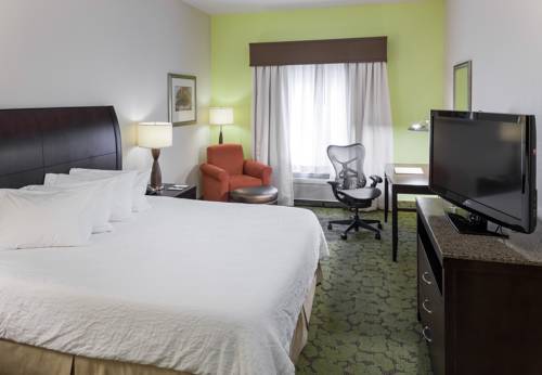 Imagen de la habitación del Hotel Hilton Garden Inn Merrillville. Foto 8