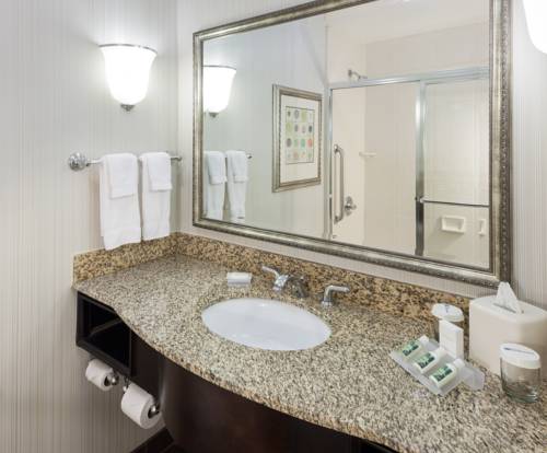 Imagen de la habitación del Hotel Hilton Garden Inn Merrillville. Foto 10