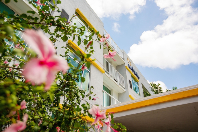 Imagen general del Hotel Hilton Garden Inn Miami Brickell South. Foto 3