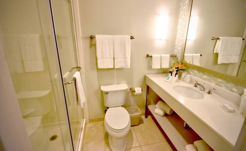 Imagen de la habitación del Hotel Hilton Garden Inn Miami Dolphin Mall. Foto 2