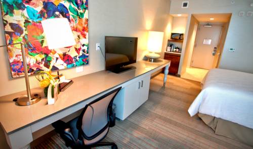 Imagen de la habitación del Hotel Hilton Garden Inn Miami Dolphin Mall. Foto 6