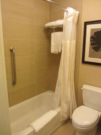 Imagen de la habitación del Hotel Hilton Garden Inn Midland. Foto 4