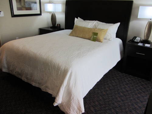 Imagen de la habitación del Hotel Hilton Garden Inn Midland. Foto 8