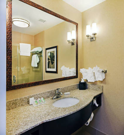 Imagen de la habitación del Hotel Hilton Garden Inn Midland. Foto 11