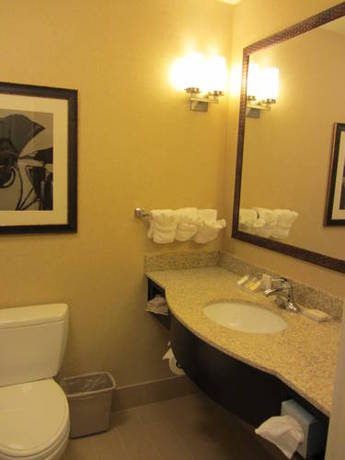 Imagen de la habitación del Hotel Hilton Garden Inn Midland. Foto 14