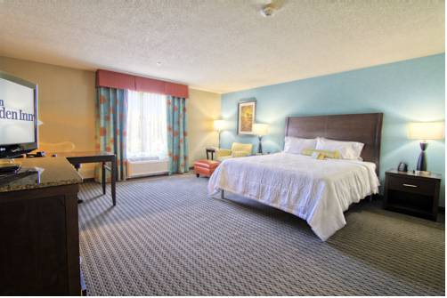Imagen de la habitación del Hotel Hilton Garden Inn Midtown Tulsa. Foto 10