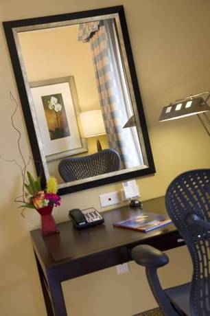 Imagen de la habitación del Hotel Hilton Garden Inn Minneapolis Downtown. Foto 3