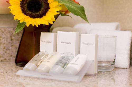 Imagen de la habitación del Hotel Hilton Garden Inn Minneapolis Downtown. Foto 4