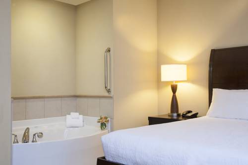 Imagen de la habitación del Hotel Hilton Garden Inn Minneapolis Downtown. Foto 5