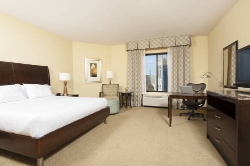 Imagen de la habitación del Hotel Hilton Garden Inn Minneapolis Downtown. Foto 6