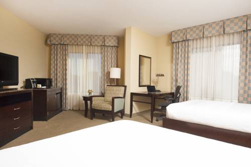 Imagen de la habitación del Hotel Hilton Garden Inn Minneapolis Downtown. Foto 8