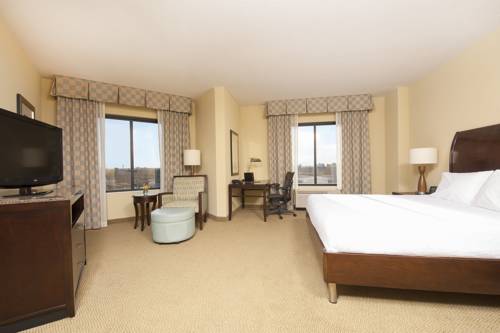 Imagen de la habitación del Hotel Hilton Garden Inn Minneapolis Downtown. Foto 9