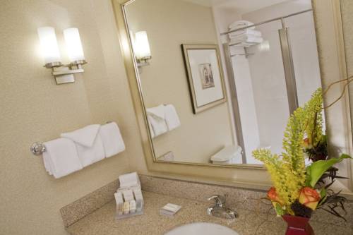 Imagen de la habitación del Hotel Hilton Garden Inn Minneapolis Downtown. Foto 12