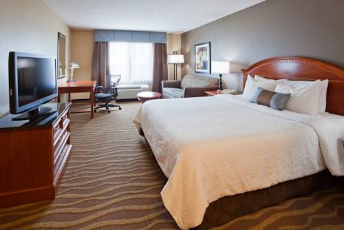 Imagen de la habitación del Hotel Hilton Garden Inn Minneapolis - Maple Grove. Foto 1