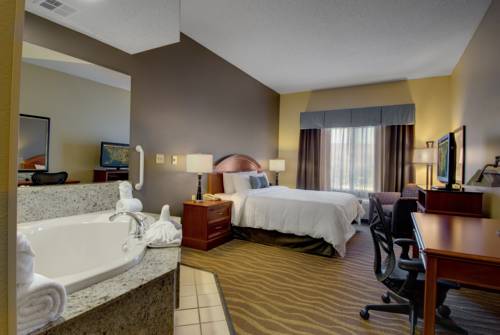 Imagen de la habitación del Hotel Hilton Garden Inn Minneapolis - Maple Grove. Foto 2