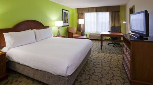 Imagen de la habitación del Hotel Hilton Garden Inn Minneapolis Saint Paul-shoreview. Foto 2