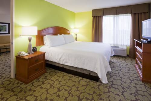 Imagen de la habitación del Hotel Hilton Garden Inn Minneapolis Saint Paul-shoreview. Foto 3